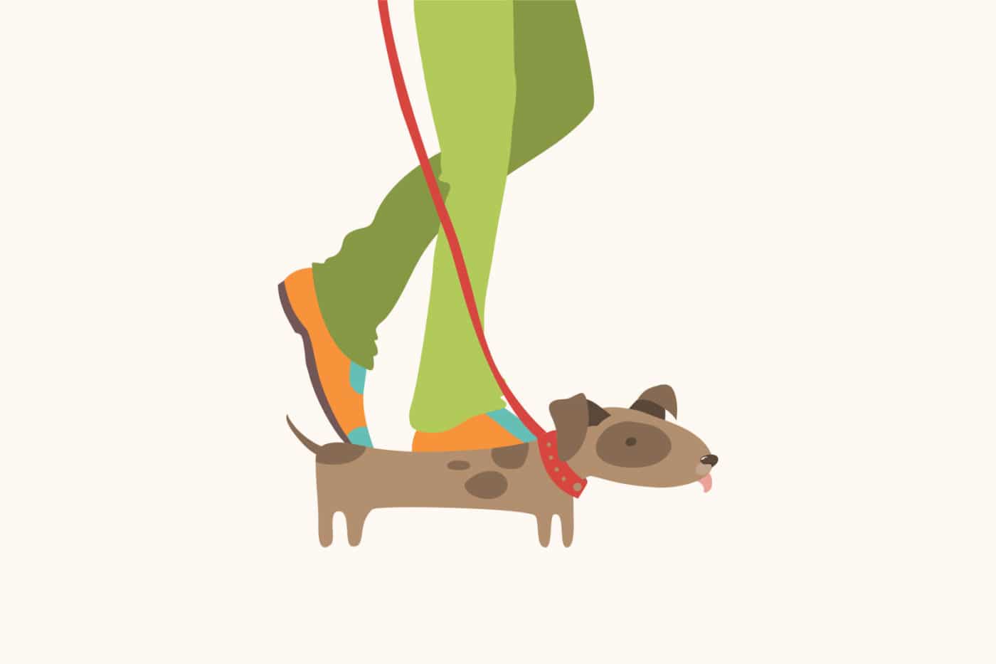 How To Walk A Dog Zeen Writer